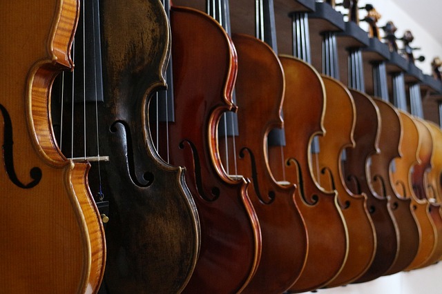 バイオリンの選び方